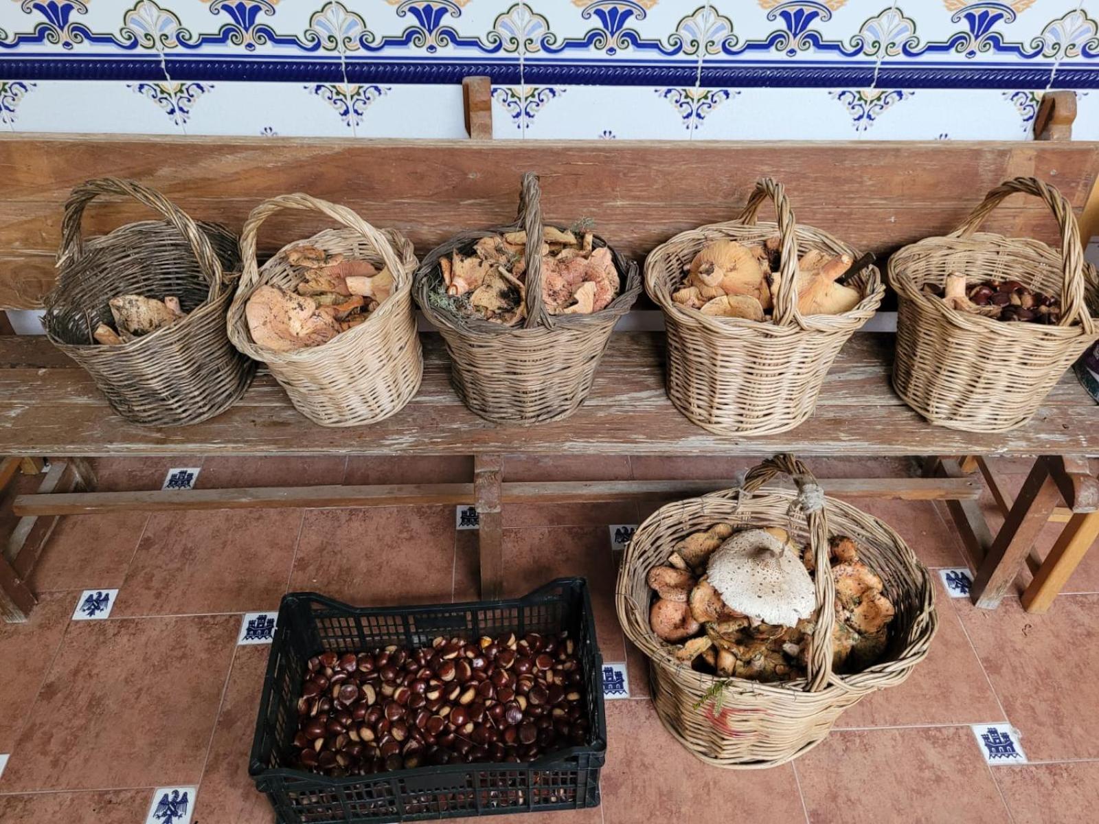 Casavieja Casa Pozo Tarama 빌라 외부 사진